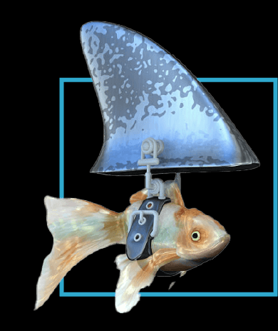 Outrageous Creative Shark Fish