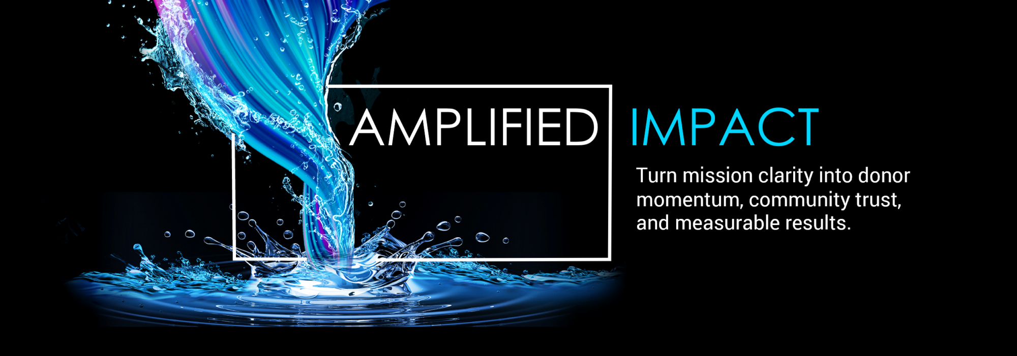 Image module